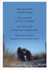 Sympathy Dog Card - I Gave You Shelter. You Gave Me Joy.