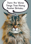 Birthday Cat Card- There Are Worse Things