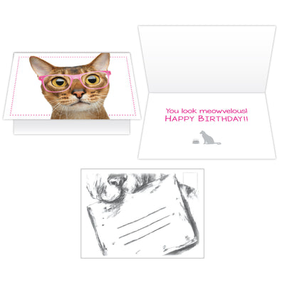 Birthday Cat Card -You Look  Meowvelous