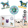 Decal Assortment ONLY - 72 Designs **Display NOT Included**