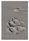 Sympathy Dog Card - Paw Prints on Our Hearts