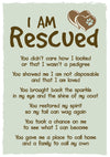 Rescue - I am Rescued