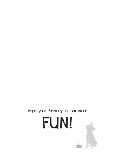 Birthday - So Much Fun