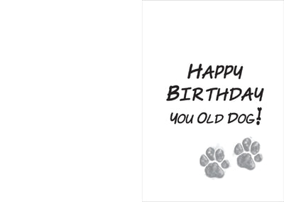 Birthday - I Smell An old Person