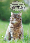 Birthday Cat Card - 9 Lives