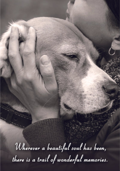 Sympathy Dog Card - Wherever a Beautiful Soul Has Been