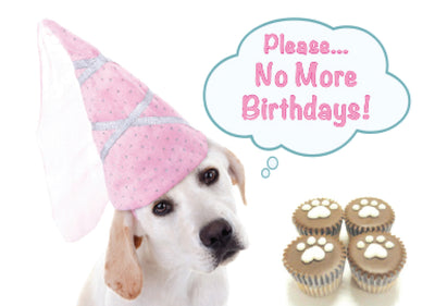 SALE - Birthday - Please, No More Birthdays