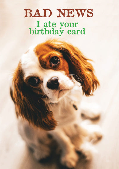Birthday - BAD NEWS I ate your birthday card